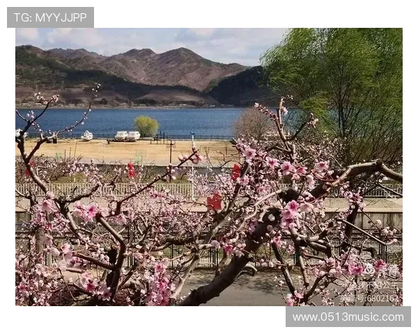 奥斯卡回忆疫情期间差点加盟巴萨愿意低薪为球队效力六个月 奥斯卡回忆疫情期间差点加盟巴萨愿意低薪为球队效力六个月