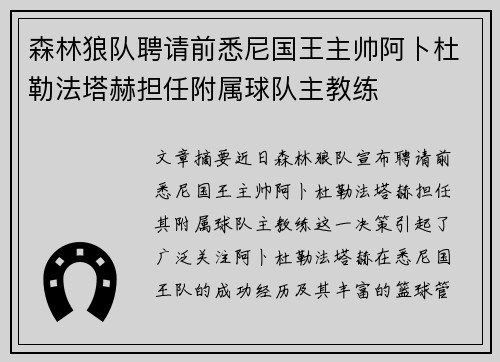森林狼队聘请前悉尼国王主帅阿卜杜勒法塔赫担任附属球队主教练